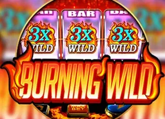 Burning Wild